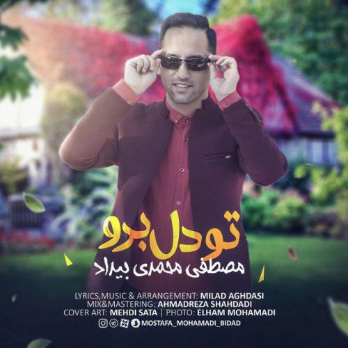 دانلود آهنگ تو دل برو